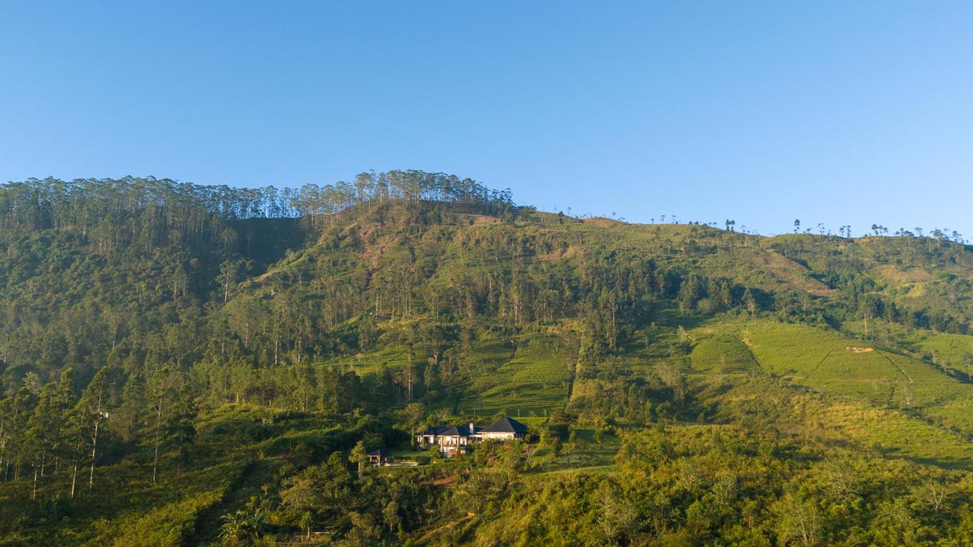 Отель Camellia Hills Хаттон Экстерьер фото