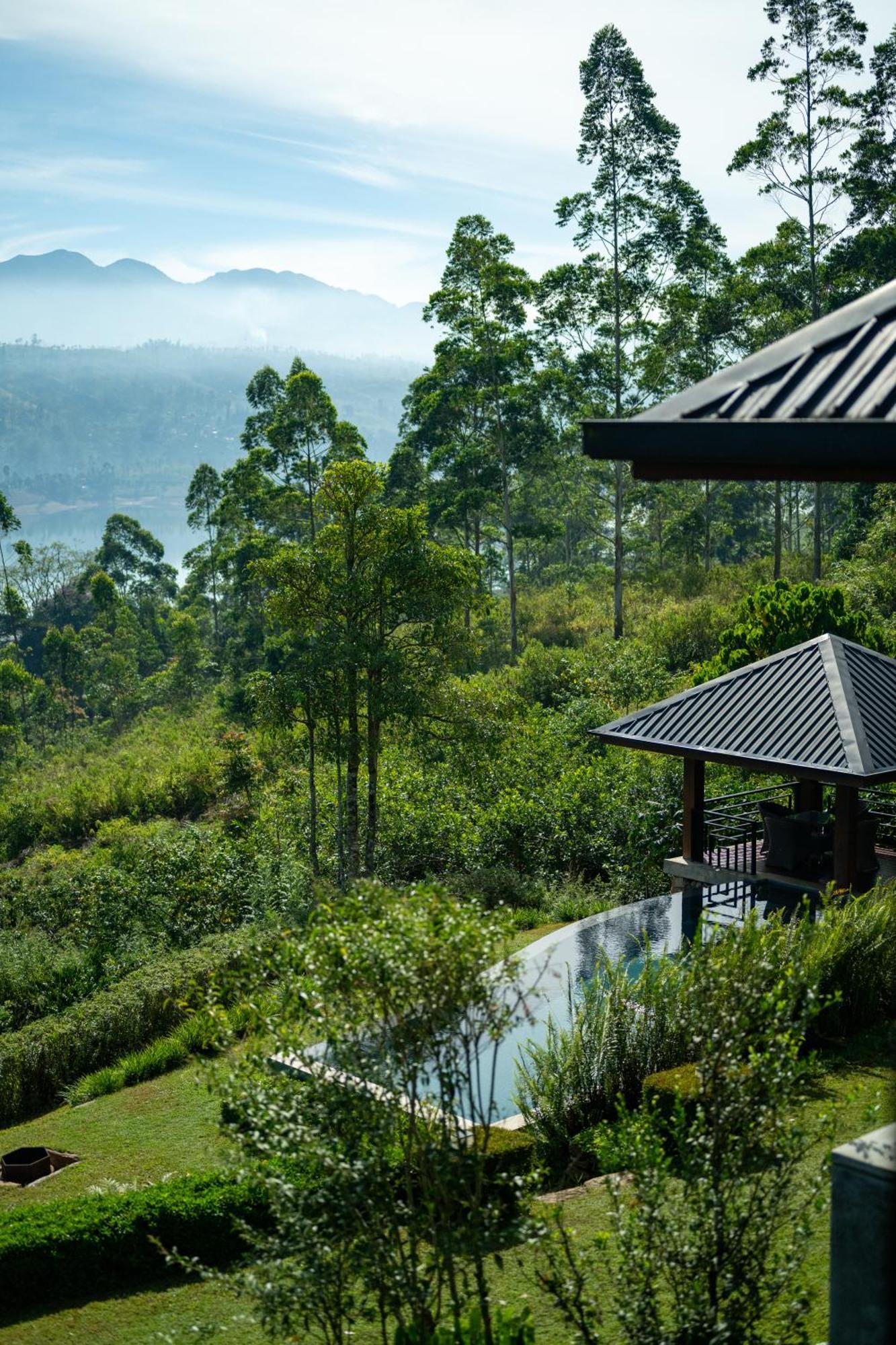 Отель Camellia Hills Хаттон Экстерьер фото